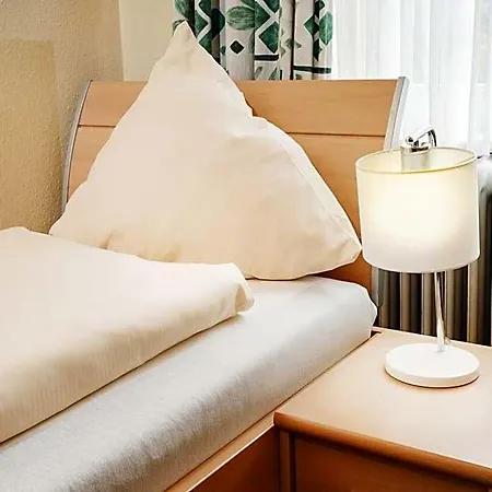 Hotel Romaeus *